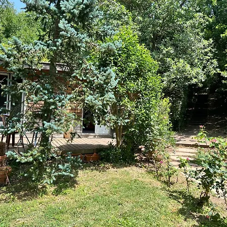 Landsted Lovely In Provence